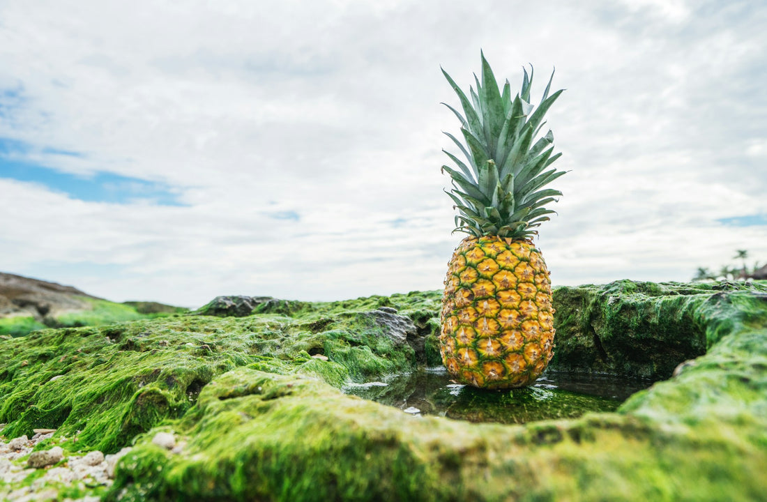 La Bromelina proprietà e benefici per la tua salute